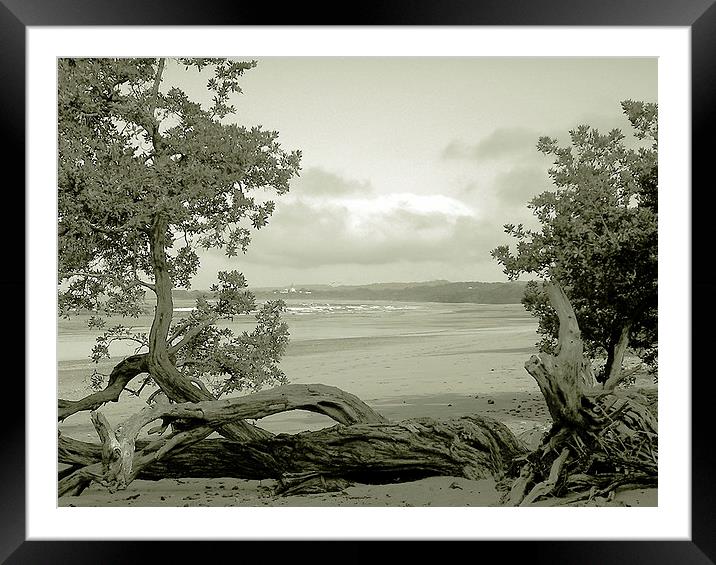  Beach at Beginning of Playa Guionnes Framed Mounted Print by james balzano, jr.