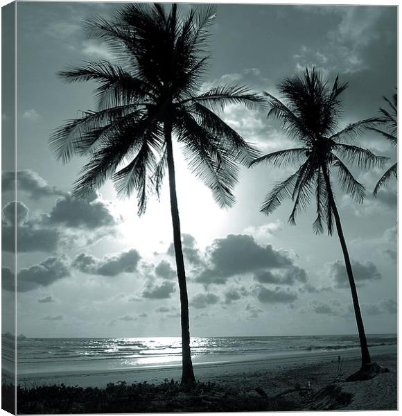  Palms and Ocean Canvas Print by james balzano, jr.