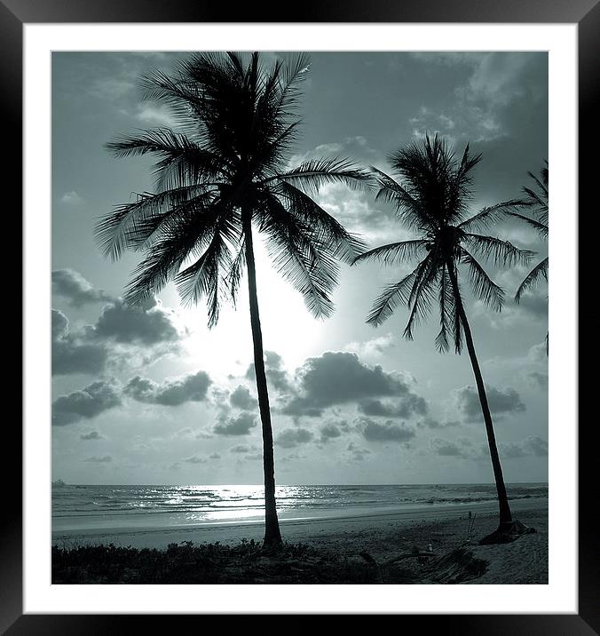  Palms and Ocean Framed Mounted Print by james balzano, jr.