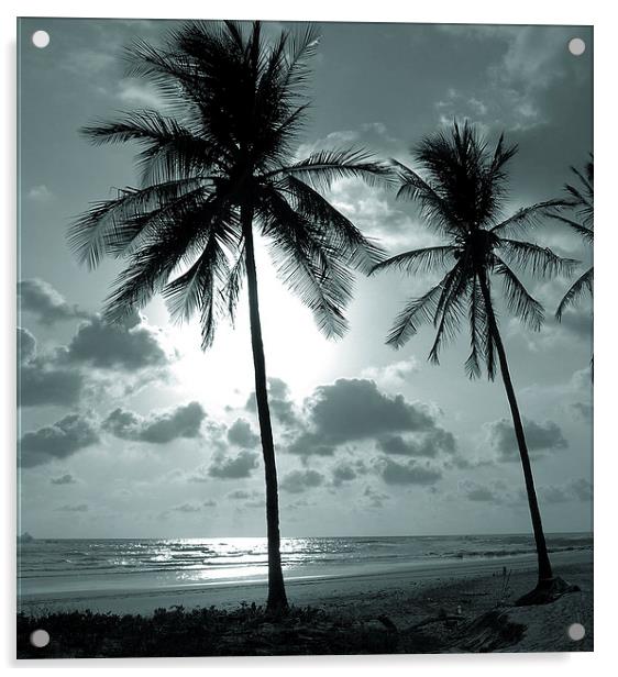  Palms and Ocean Acrylic by james balzano, jr.