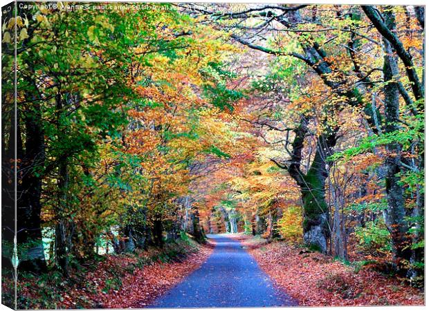  Autumn drive, Glen Lyon Canvas Print by yvonne & paul carroll