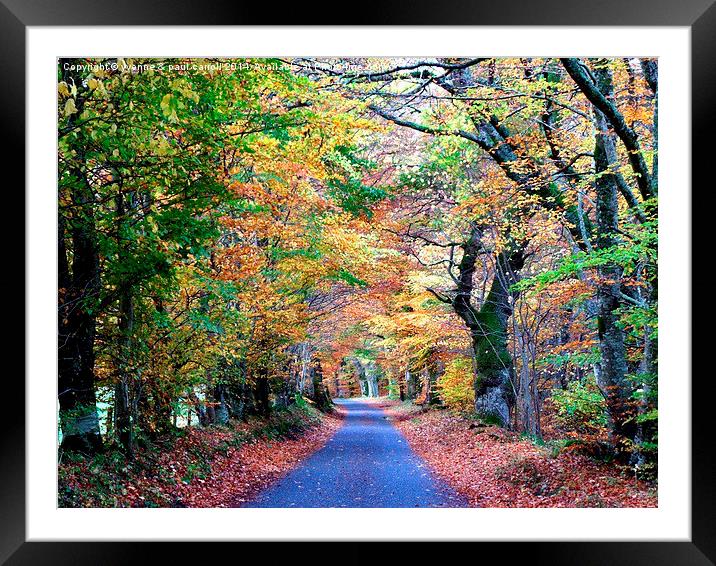  Autumn drive, Glen Lyon Framed Mounted Print by yvonne & paul carroll