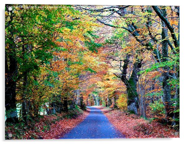  Autumn drive, Glen Lyon Acrylic by yvonne & paul carroll