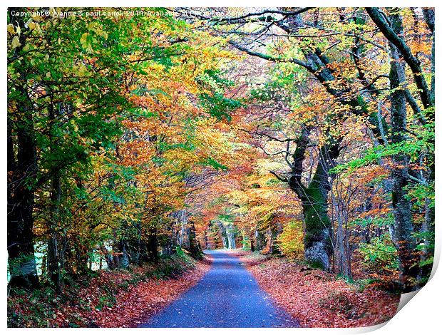  Autumn drive, Glen Lyon Print by yvonne & paul carroll
