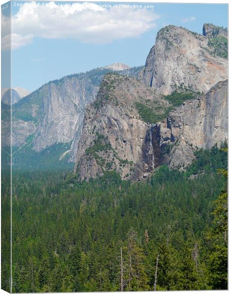 Viewpoint from Half Dome at Yosemite National Park Canvas Print by Paula Jardine