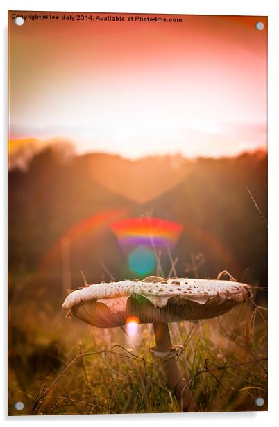  magic mushroom Acrylic by Lee Daly