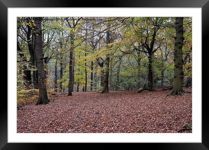  Autumnal Scene Framed Mounted Print by Andrew Heaps