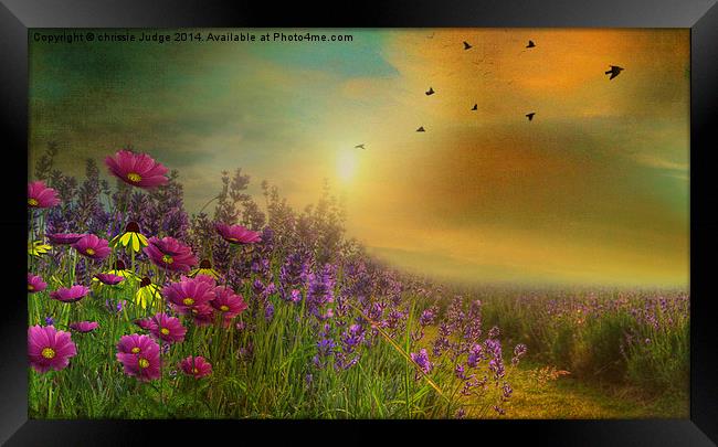  Heaven's Garden  Framed Print by Heaven's Gift xxx68