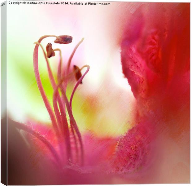  Stamens dance Canvas Print by Martine Affre Eisenlohr