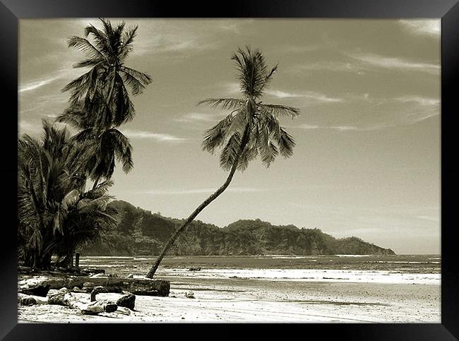  Beachscene Duo Tone Framed Print by james balzano, jr.