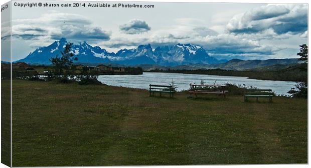  Picnic in Patagonia Canvas Print by Sharon Cain