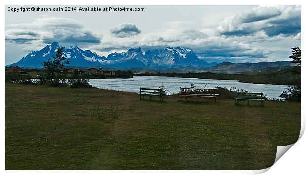  Picnic in Patagonia Print by Sharon Cain