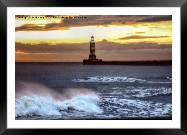  Roker pier and lighthouse sunrise Framed Mounted Print by Avril Harris