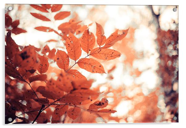   Rusty Leaves  Acrylic by Jenny Rainbow
