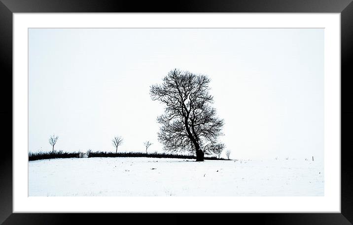 Tree In Snow Landscape, Owston, Leicestershire Framed Mounted Print by Steven Garratt
