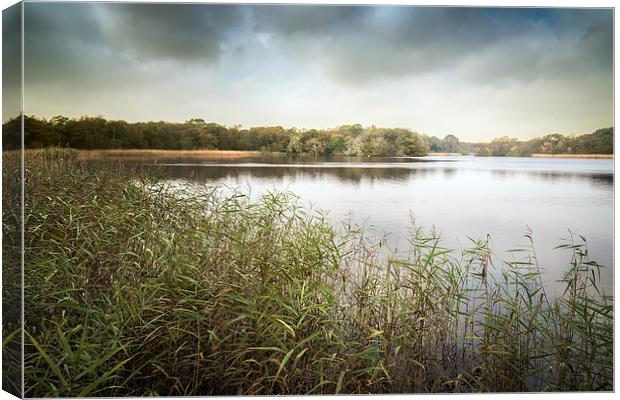  Ormesby Broad Canvas Print by Stephen Mole