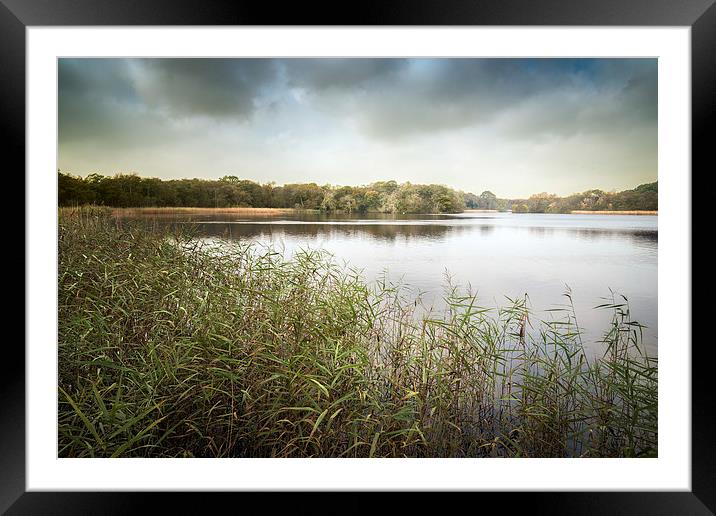  Ormesby Broad Framed Mounted Print by Stephen Mole