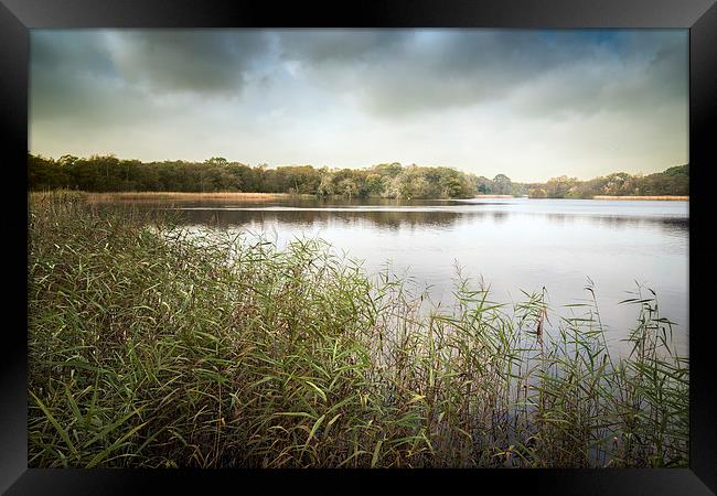  Ormesby Broad Framed Print by Stephen Mole