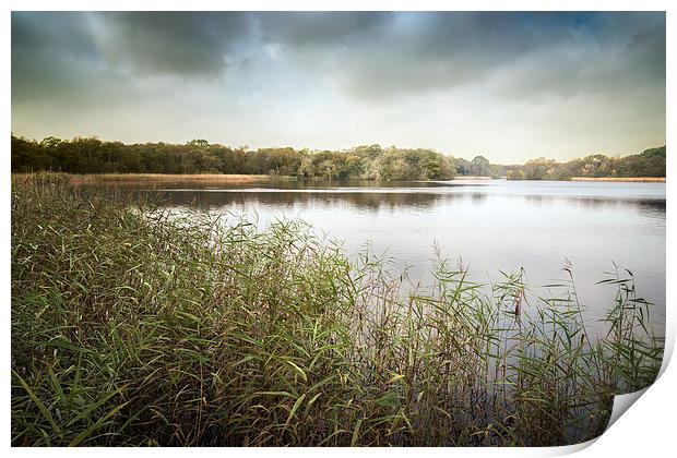  Ormesby Broad Print by Stephen Mole