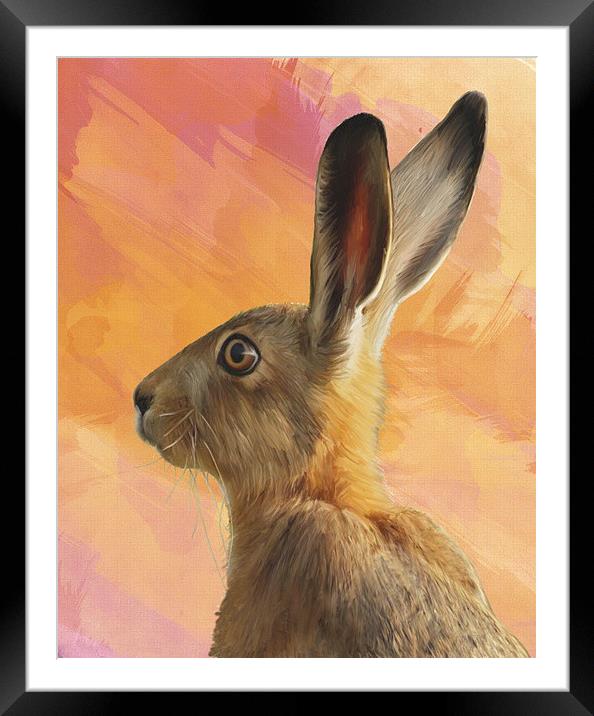Hare  Framed Mounted Print by Tanya Hall