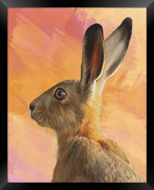 Hare  Framed Print by Tanya Hall