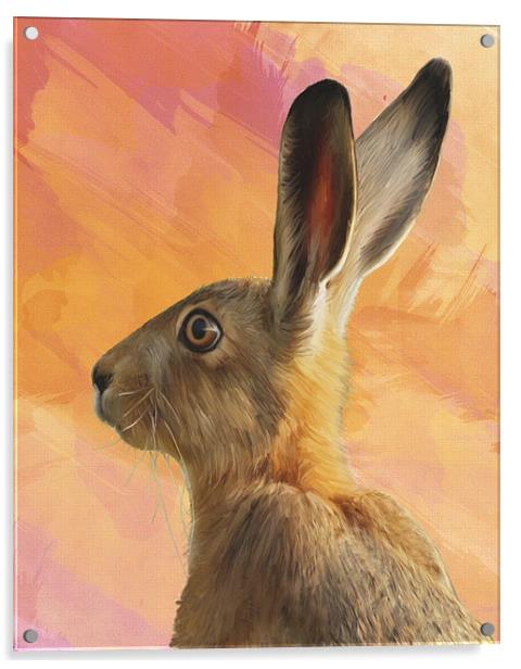 Hare  Acrylic by Tanya Hall