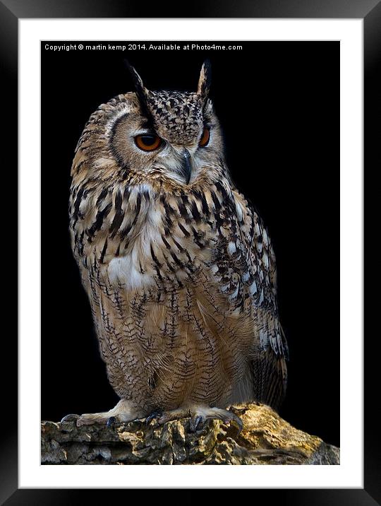  Eagle Owl Framed Mounted Print by Martin Kemp Wildlife