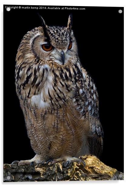  Eagle Owl Acrylic by Martin Kemp Wildlife