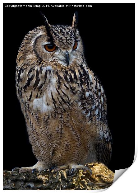  Eagle Owl Print by Martin Kemp Wildlife