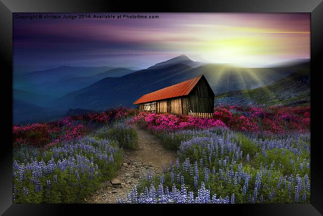  beautiful meadow  Framed Print by Heaven's Gift xxx68