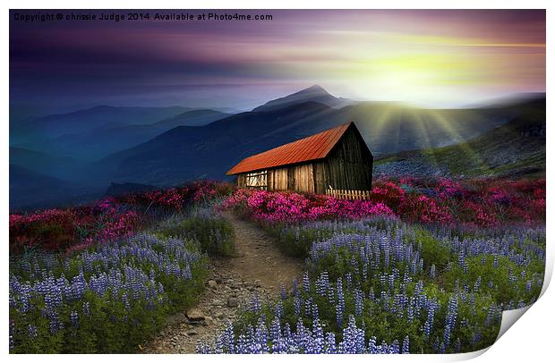  beautiful meadow  Print by Heaven's Gift xxx68