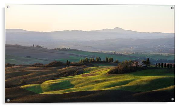  Toscana Acrylic by Dave Wragg