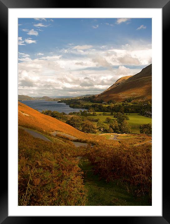 Martindale View Through the Bracken Framed Mounted Print by Jacqi Elmslie
