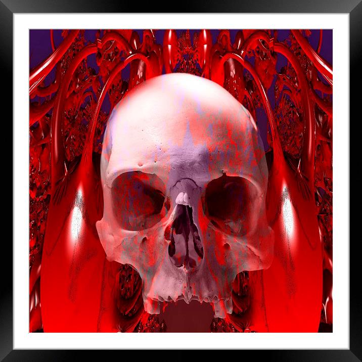   Skull Transfusion Framed Mounted Print by Matthew Lacey
