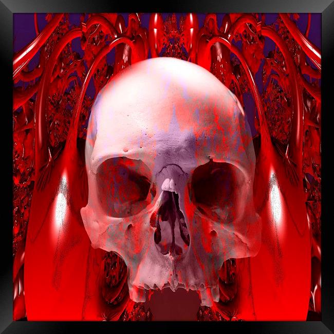   Skull Transfusion Framed Print by Matthew Lacey
