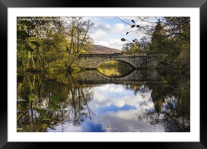 New Bridge at Calver Framed Mounted Print by Angie Morton