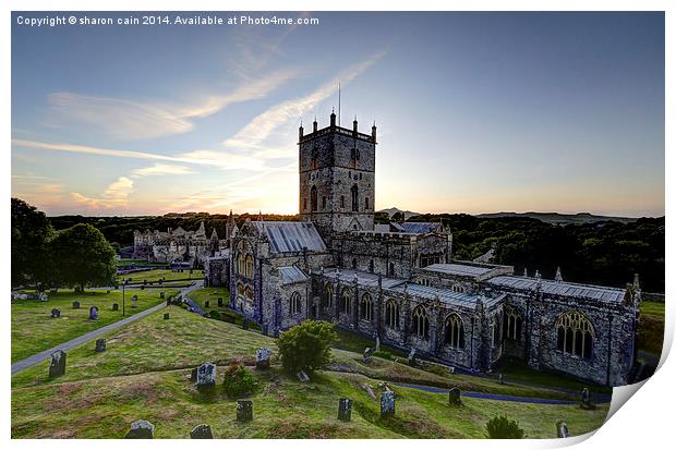 Cathedral Gloaming Print by Sharon Cain
