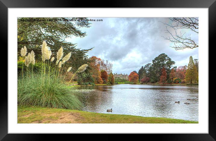 Park Gardens Framed Mounted Print by Sharon Cain