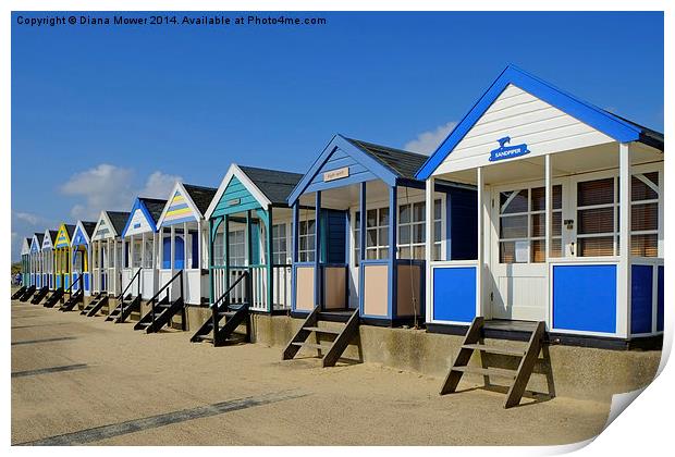  Southwold beach huts  Print by Diana Mower