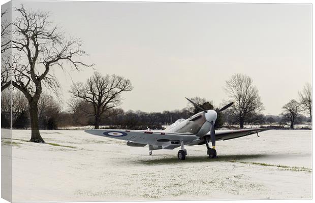 Spitfire in the snow Canvas Print by Gary Eason