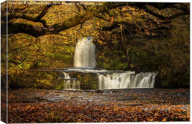  Autumn waterfall Canvas Print by Izzy Standbridge