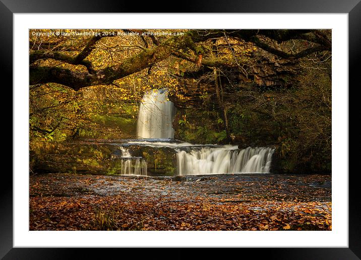  Autumn waterfall Framed Mounted Print by Izzy Standbridge