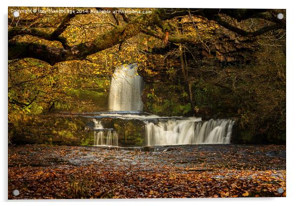  Autumn waterfall Acrylic by Izzy Standbridge