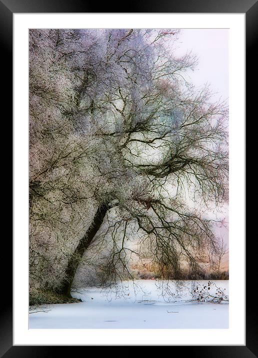 Pastel Frost Framed Mounted Print by Ann Garrett