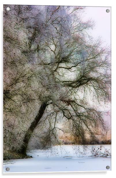 Pastel Frost Acrylic by Ann Garrett