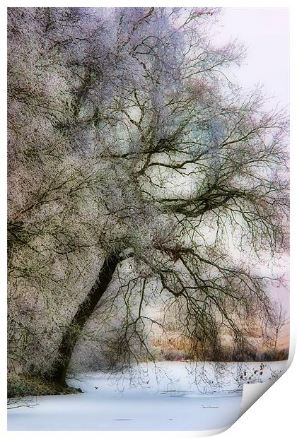Pastel Frost Print by Ann Garrett