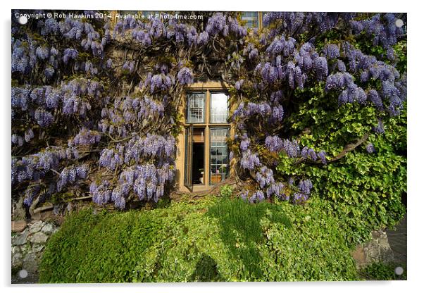  Window on Wisteria  Acrylic by Rob Hawkins