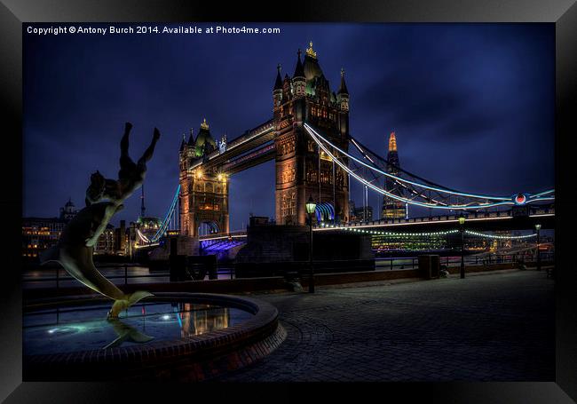  Tower Bridge at Night Framed Print by Antony Burch