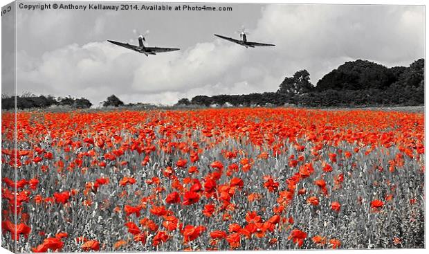  SPITFIRES WATERCOLOUR Canvas Print by Anthony Kellaway