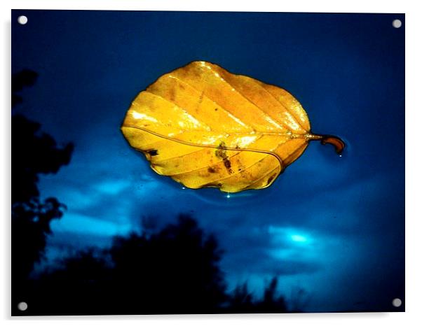  Autmn Leaf Acrylic by Lance Hollingworth